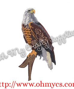 Realistic Solid Stitch Bald Eagle Embroidery Design