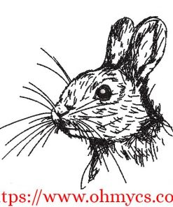 Baby Bunny Rabbit Sketch Embroidery Design