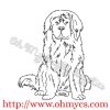 New Foundland Dog Sketch
