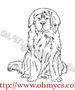New Foundland Dog Sketch