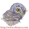 Realistic Solid Stitch Owl Embroidery Design