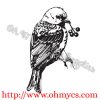 Sketch Bird on a Branch Embroidery Design