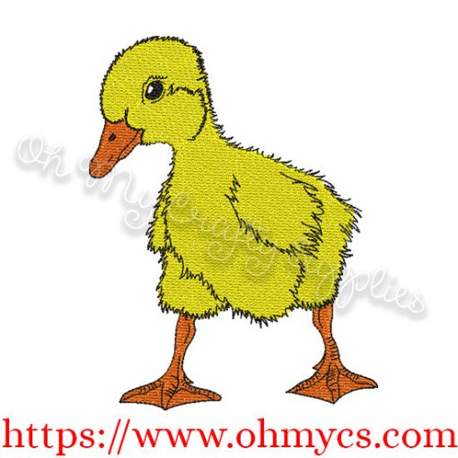 Spring Duck Embroidery Design